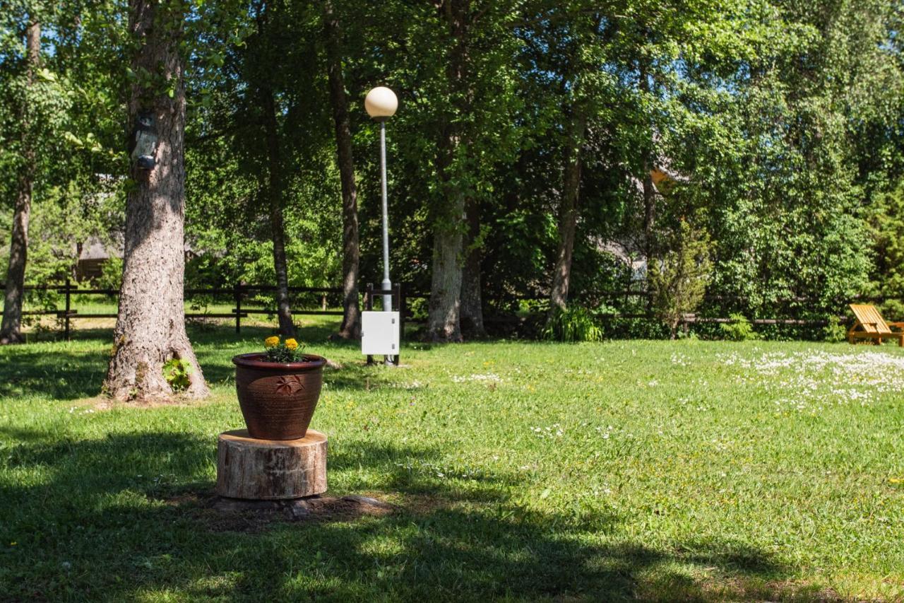 Tehumardi Camping Salme Екстер'єр фото
