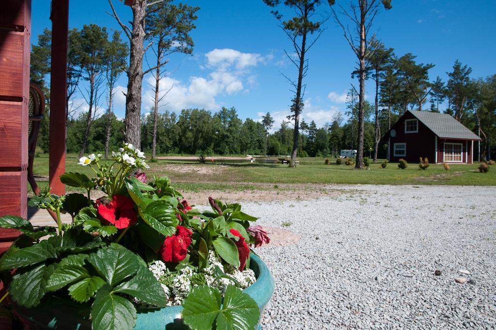 Tehumardi Camping Salme Екстер'єр фото
