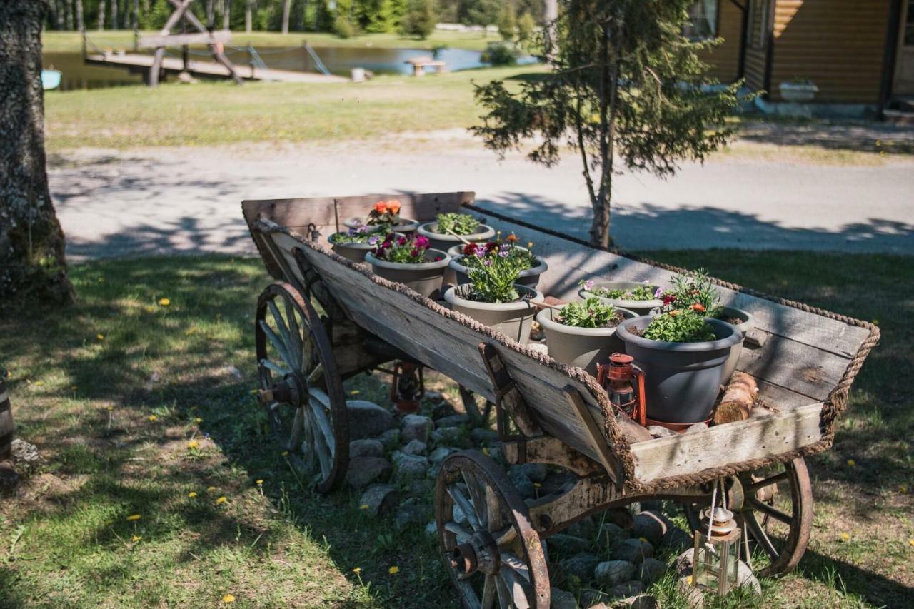 Tehumardi Camping Salme Екстер'єр фото